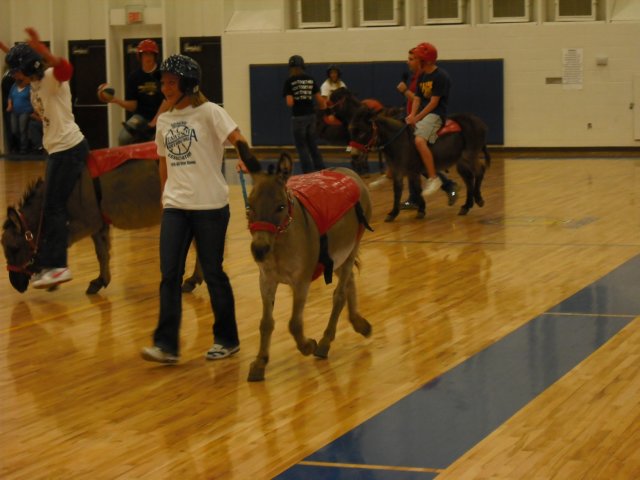 dscf0012_2.jpg