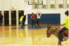 dscf0025_8_small.jpg
