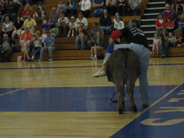 img_0110.jpg