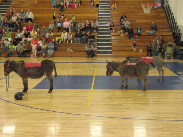 img_0359.jpg
