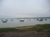 boats2_small.jpg